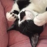 あずピ