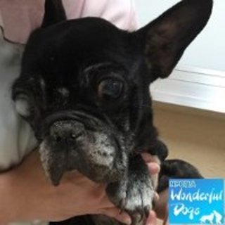 「キャサリン妃」推定１０歳♀