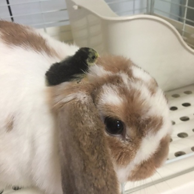 KAZU214.714のカバー写真