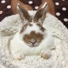 あったかくてウトウト、、、