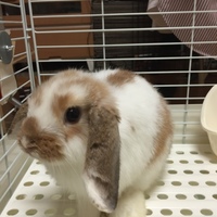 よしき