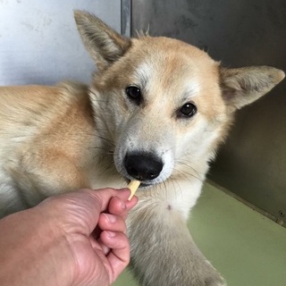 まだ2歳〜3歳 怖がりの男の子