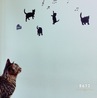 の写真