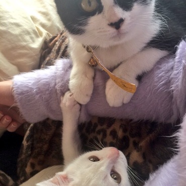 二匹とも甘えん坊さんです