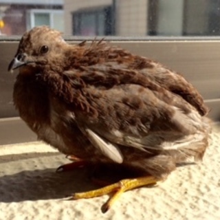 決まりました。ありがとうございました。