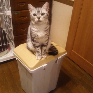 素敵なご一家のもとへ迎えられました！