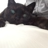 31@jiji