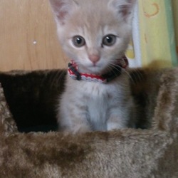 ☆初めまして記念日☆