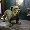 柴犬ジェームス