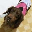 家族が欲しいです。