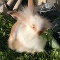 有難うございました^ ^