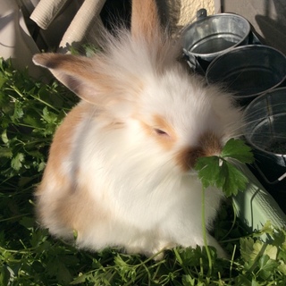 有難うございました^ ^