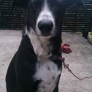 大事にしてくださる方