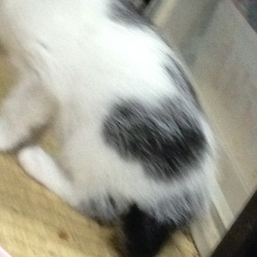 の写真