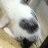 の写真