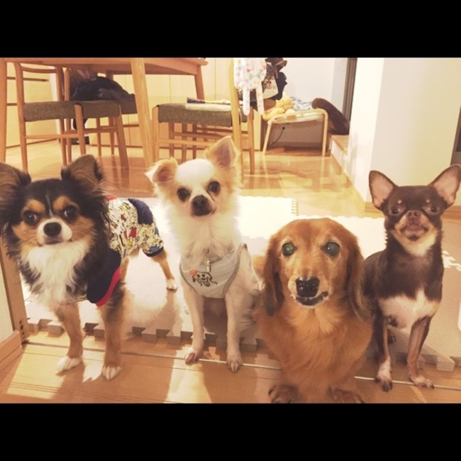 モカ112のカバー写真