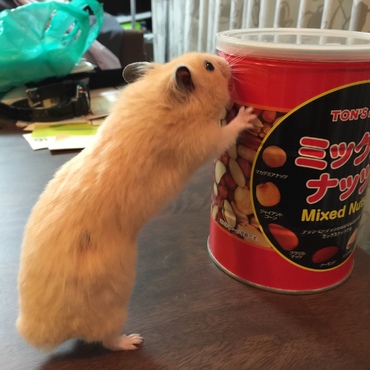 の写真