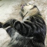 の写真