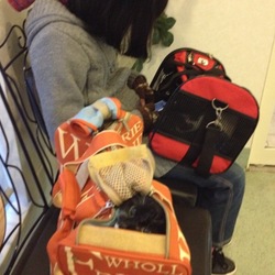 2015年11月23日予防接種