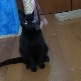 海で産まれたシー(海）ちゃん　　　