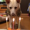 の写真