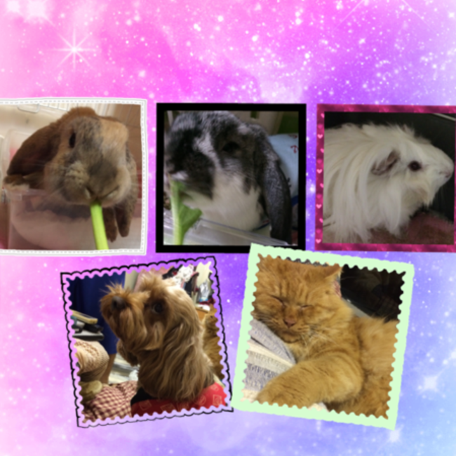 ちゅあ(chuaのカバー写真