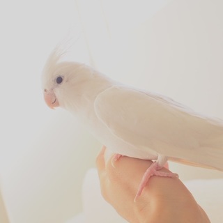 たくさんの応募ありがとうございました