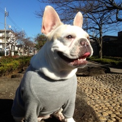 おNEWの洋服。(冬服)