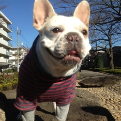 「おNEWの洋服。(冬服)」サムネイル2