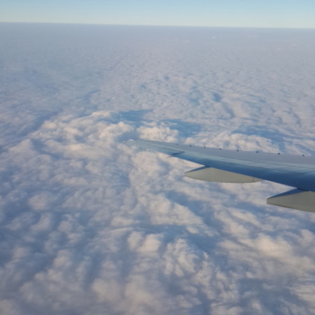 うめたまのカバー写真