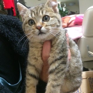 たくさんの募集のため返信できずすみませんでした！