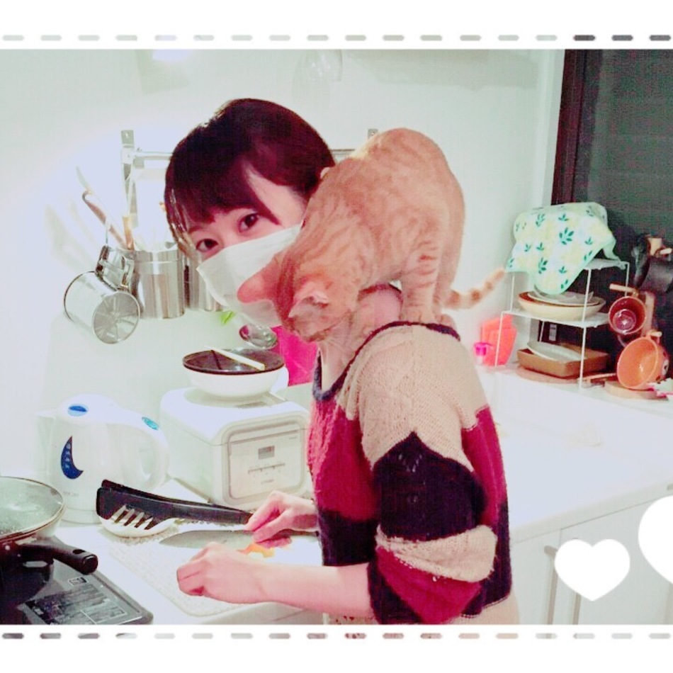 うにのカバー写真