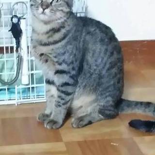 おてんばで甘えん坊の女の子です。