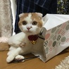  さん