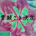 里親様決まりました☆ フェレットの女の子