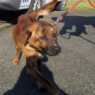 美味しいものたくさん食べて幸せになってほしい！！