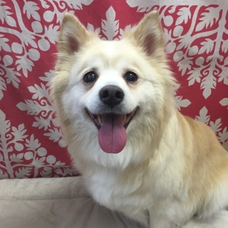 笑顔の可愛いメリーちゃん
