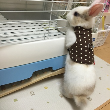 へやんぽ♡