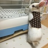 へやんぽ♡