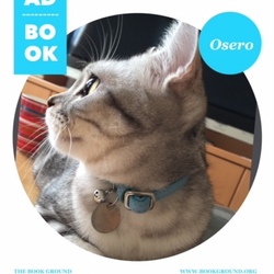 迷子札★ PET-IDダグをつけました。