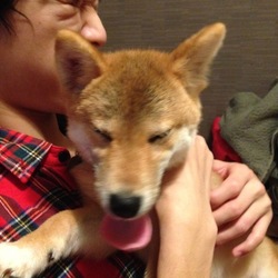 散歩デビュー☆