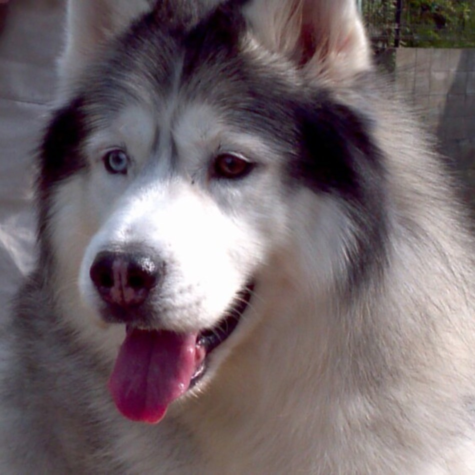 アンフィニのカバー写真