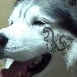 寒くなって・・・・