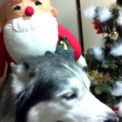 「寒くなって・・・・」サムネイル2