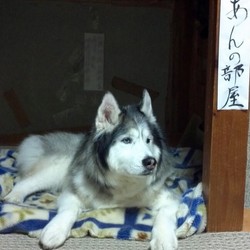 「寒くなって・・・・」サムネイル3