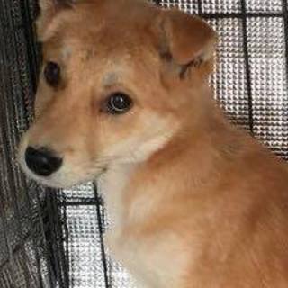 センターから保護した4ヶ月の男の子！