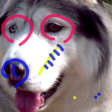 顔に落書きしないでよ～