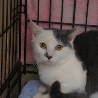 ご希望頂きましたので一旦停止にさせて頂きます。