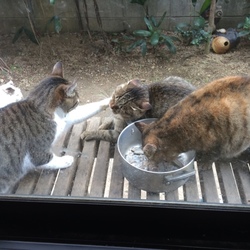りっ理不尽なー！