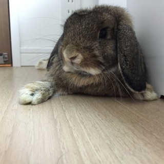 募集多数にて新規応募一旦中止します！